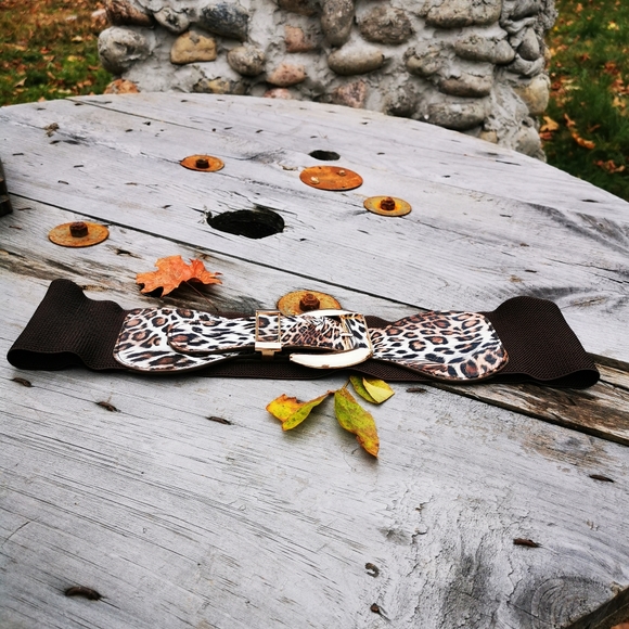 Ardene Spain Faux Leather Leopard Print Brown Stretch Gold Buckle Belt - Picture 5 of 16